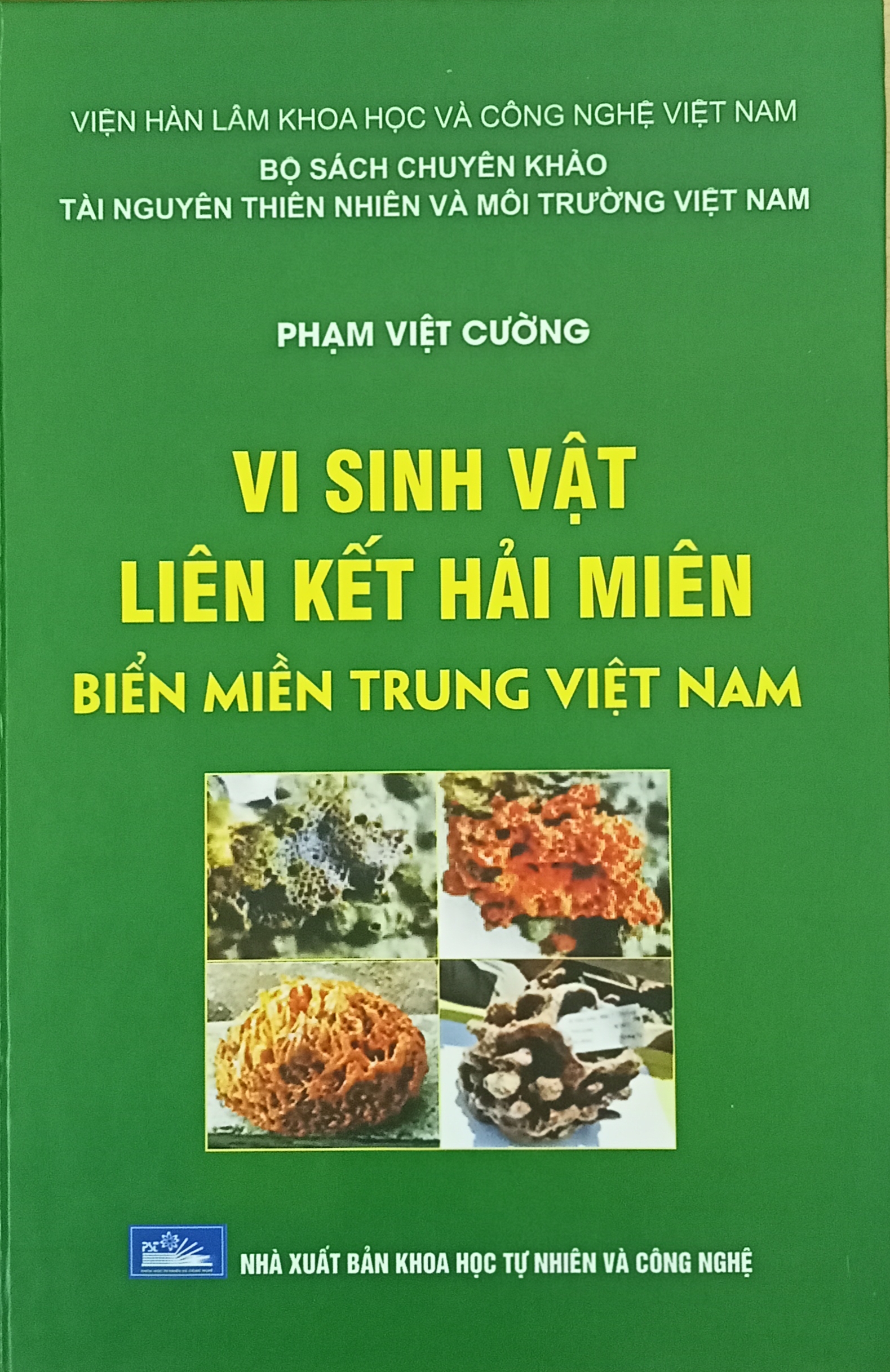 Vi sinh vật liên kết hải miên biển miền Trung Việt Nam