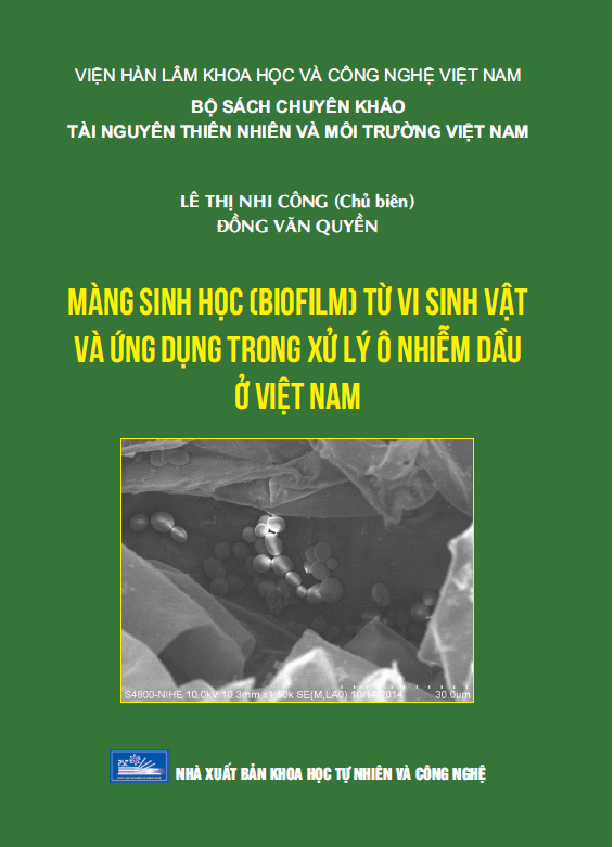 Màng sinh học (Biofilm) từ vi sinh vật và ứng dụng trong xử lý ô nhiễm dầu ở Việt Nam